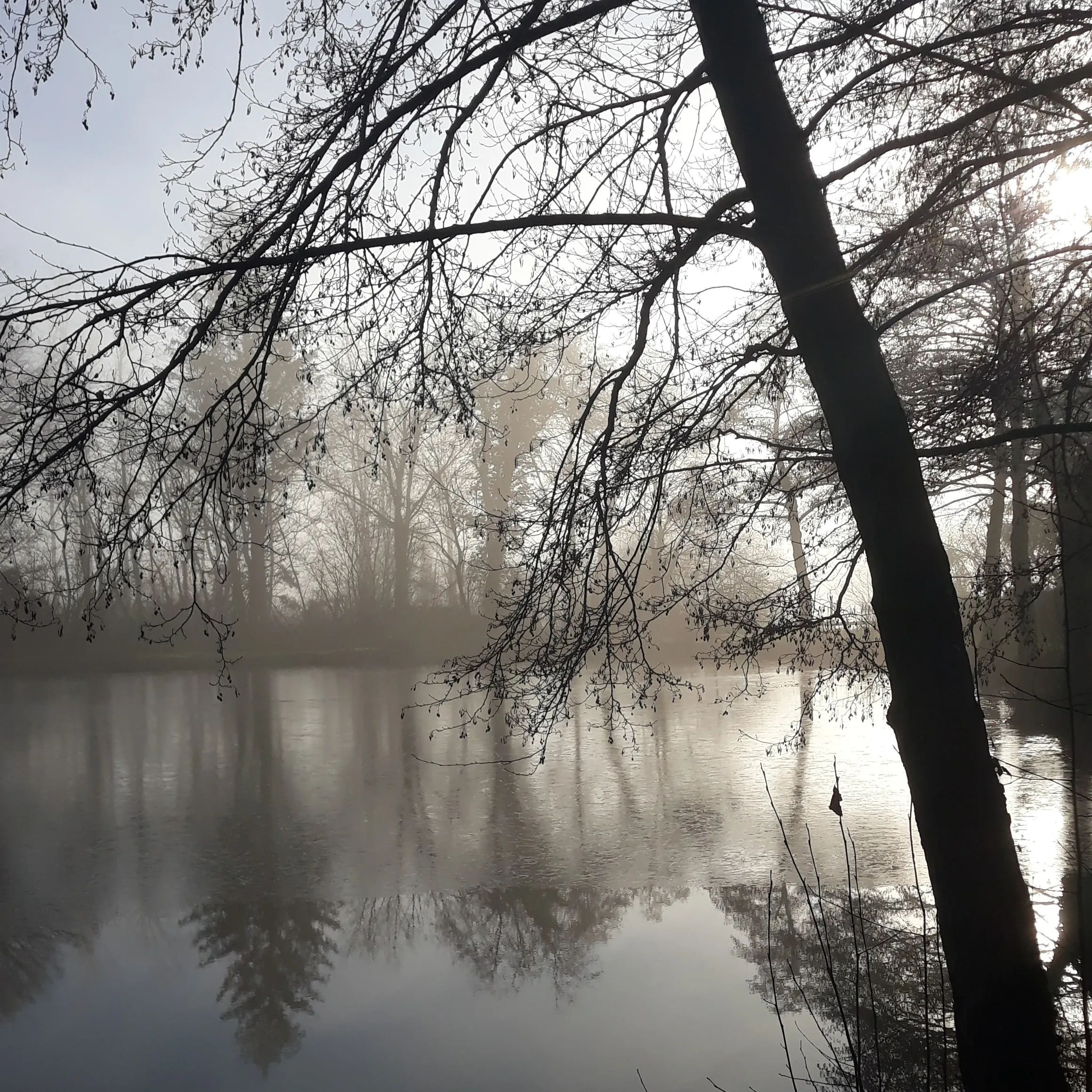 Photographie d'un lac brumeux